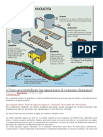 Cómo Se Potabilizan Las Aguas para El Consumo Humano