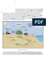 The Cycle of Nitrogen Sulphur & Carbon - Analysis by Fahmid