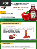 Ev6 Proceso de Elaboración de La Cátsup Con Chile Morrón