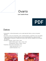 Ovario