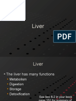 Liver Anatomy