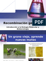 Recombinación Genética