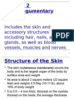 Integumentary System 15 16