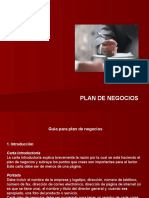 Guia Plan de Negocios