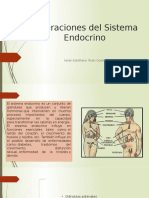 Alteraciones Del Sistema Endocrino