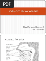 Produccion de Fonemas