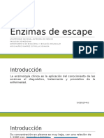  Enzimas de Escape 