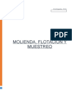 Molienda, Flotacion y Muestreo...