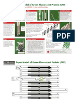 GFP Protein Folding Activity