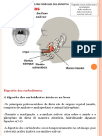 Digestão e Absorção de Carboidratos 2015