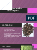 Clasificación de Drogas.