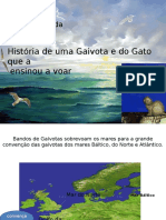 Resumo O Gato Que Ensinou A Gaivota A Voar