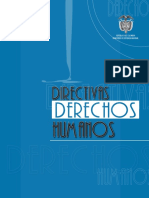 Directivas DDHH Numero 07 de 2007 (Iia)