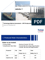 CPF Project Carabobo 1: Technology Options Assessment - CPF Produced Water Treatment