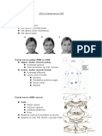 ICM 2 Cranial Nerve 7