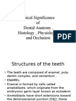 Anatomy, and Physiology of Teeth