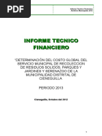 Informe Tecnico