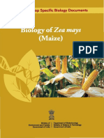 Biology of Maize