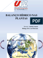 Balanço Hídrico Nas Plantas