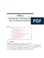 TEMA 1 - Matrices y Sistemas de Ecuaciones Lineales