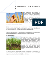 Actividades Agropecuarias Que Se Llevan A Cabo en Guatemala