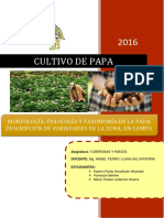 Cultivo de Papa en El Perú