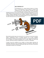 Informe CVT