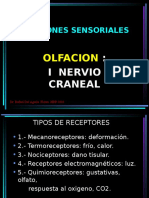 Funciones Sensoriales Par Craneal I Vii F