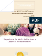 Importancia Del Medio Ambiente en El Desarrollo Mental Primitivo