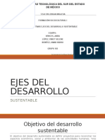 Ejes Del Desarrollo Sustentable