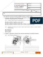 Teste Diagnóstico