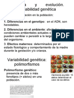 Variabilidad Genetica