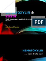 The Importance and Role of Hematoxylin and Eosin in Histological Studies