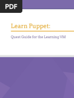 Quest Guide Puppet