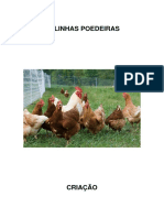 01 Criação PDF