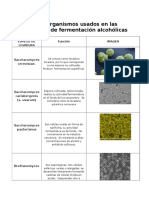 Microorganismos Usados en Las Industrias de Fermentación Alcohólicas