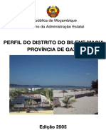 Bilene PDF