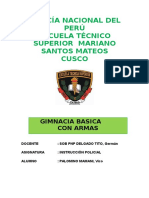  Gimnasia Basica CON ARMA