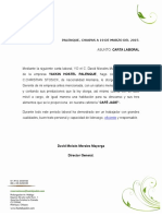 Carta Laboral