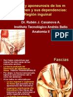 Fascias y Aponeurosis de Los M Del Abdomen