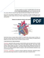 Taller ECG