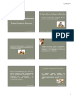 Registro Pesado PDF