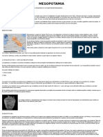 Informe Completo de Mesopotamia