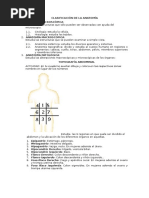 Topografía Abdominal