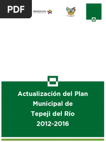 Tepeji Del Rio Apmd