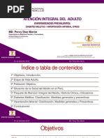 Ais Adulto - DM - Hta MP Usnprg 2016 PDF