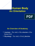 1411017014.5368introduction To Anatomy