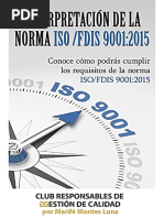 Interpretacion ISO 9001-2015 Revisiones