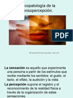 Psicopatologia de La Percepción