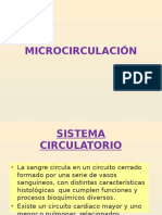 MICROCIRCULACIÓN